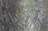 Ickford fibreglass roof work